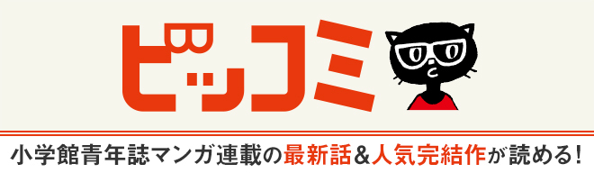 ビッコミ870各紙